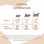 Влажный дополнительный корм Мнямс На каждый день для кошек и котят старше 6 месяцев "курица с лососем в нежном желе" 80 г