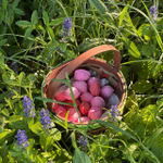 Набор мини-бомб для ванны STRAWBERRY FIELDS, 510 гр