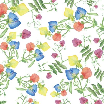 Seamless texture with Flowers and pea pods.