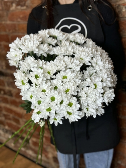 Хризантема кустовая