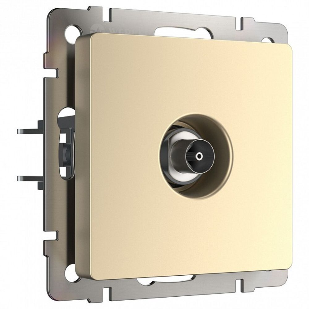 ТВ-розетка оконечная без рамки Werkel шампань W1183011