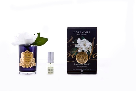 Ароматизированная роза в черной вазе и 1 спрей 13.5х8х8 Cote Noire Rose Bud Ivory