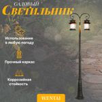 Светильник напольный Wentai DH-4389-2L-K/816/