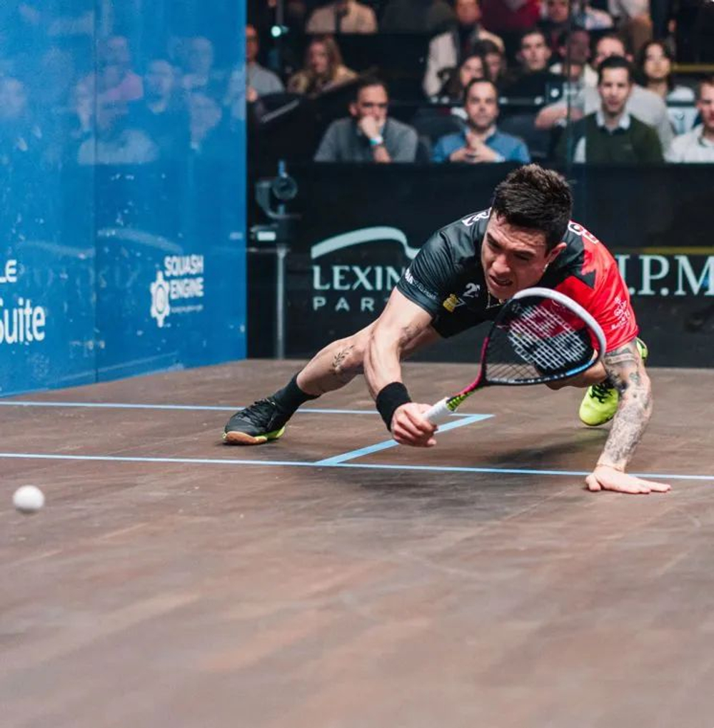 UNSQUASHABLE, MIGUEL RODRIGUEZ ONE20 LIMITED EDITION, 120g, Squash Racket, , ,