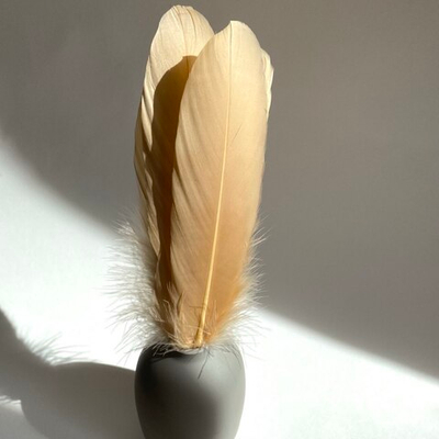 Гусиные перья топленное молоко ровные 20шт.