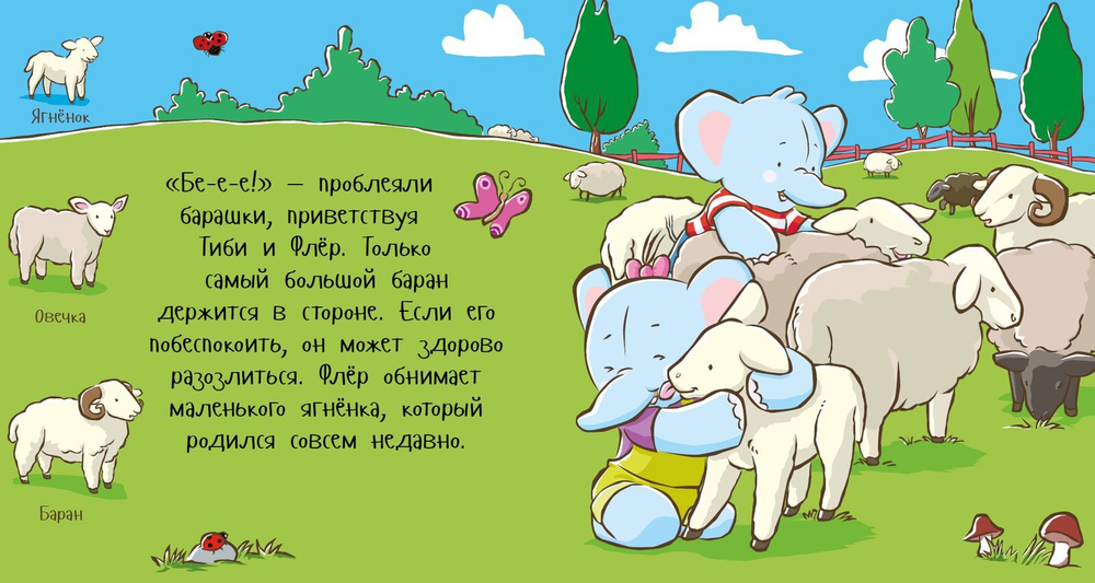 Тиби на ферме