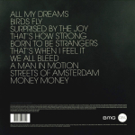 Richard Ashcroft / Natural Rebel (LP)