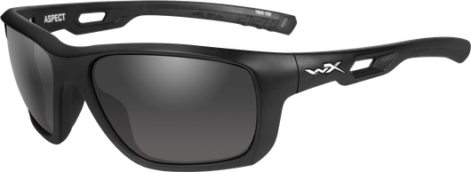 Очки WILEY X ASPECT