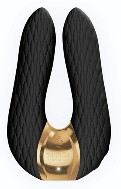 Черный двойной вибростимулятор AIKO с двумя моторами