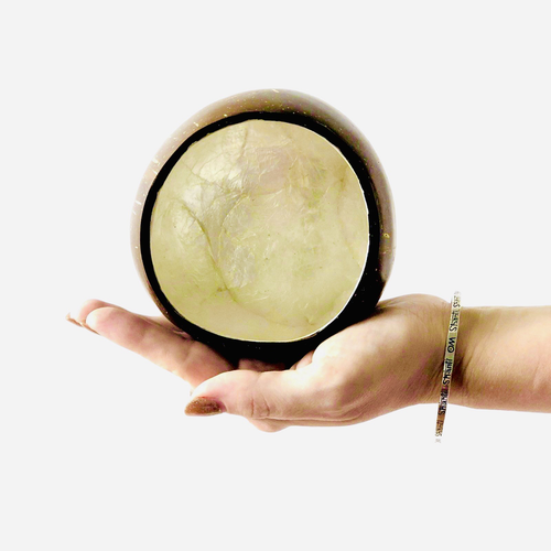 Кокосовая чаша с ракушкой (coco shell), 13-15 см диаметр