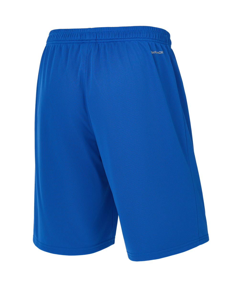 Шорты баскетбольные DIVISION PerFormDRY RBF 2S Shorts, синий