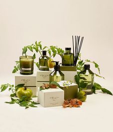 Интерьерные духи-спрей Томатный лист, Christian Tortu