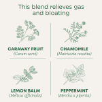 Traditional Medicinals, Organic Gas Relief™, ромашка и мята, без кофеина, 16 упакованных чайных пакетиков, 24 г (0,85 унции)