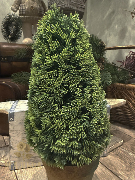 Туя в кашпо декоративная 15x15x36 см