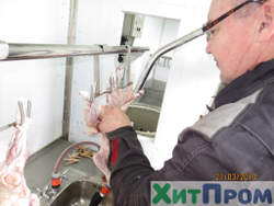 Линия убоя бройлера и несушки до 120 голов/час с вакуумным потрошением. Краснодарский край