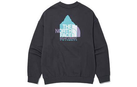 Толстовки THE NORTH FACE Campground Sweatshirts, NM5MN01C