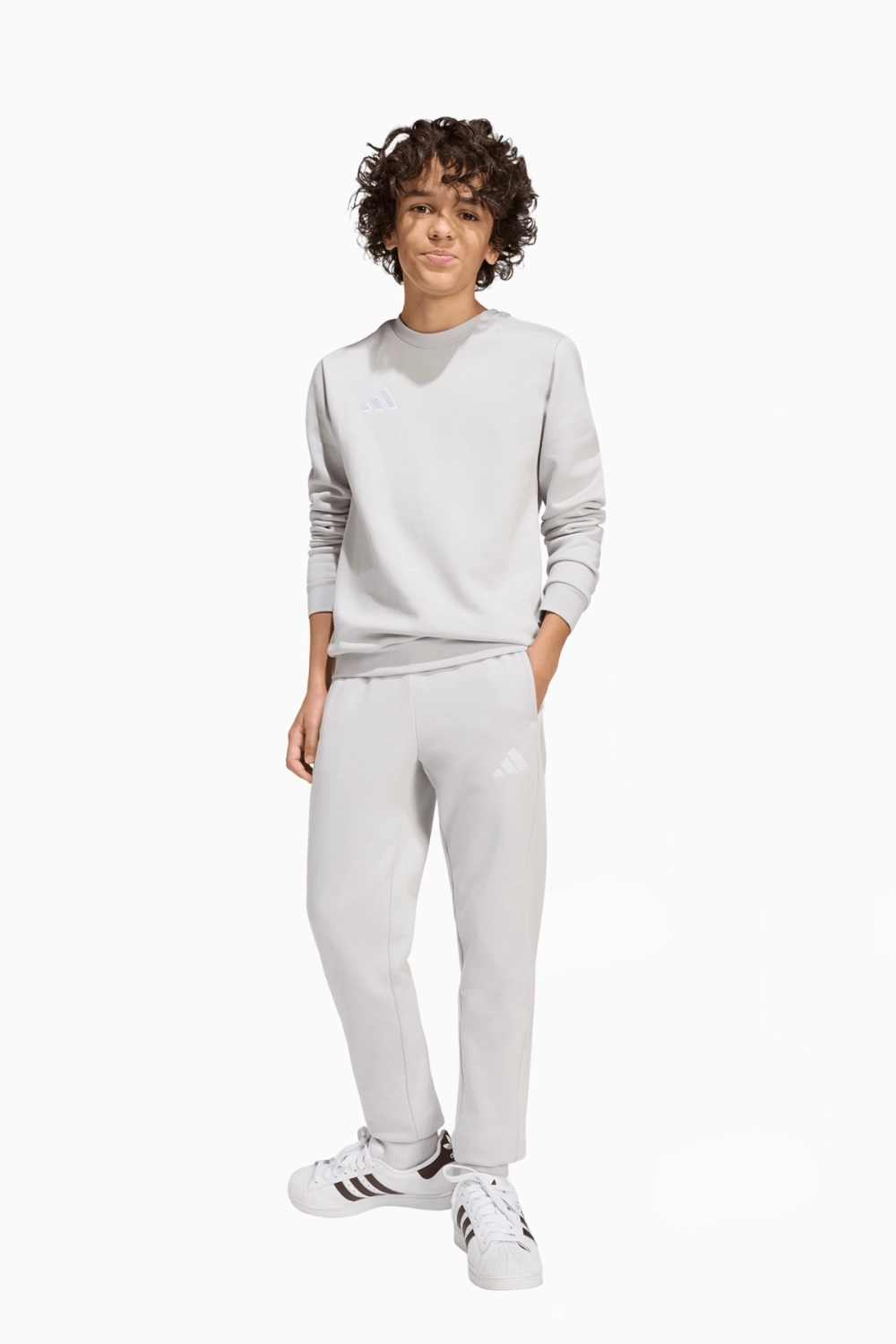 Кофта adidas Entrada 26 Sweat Junior - серый