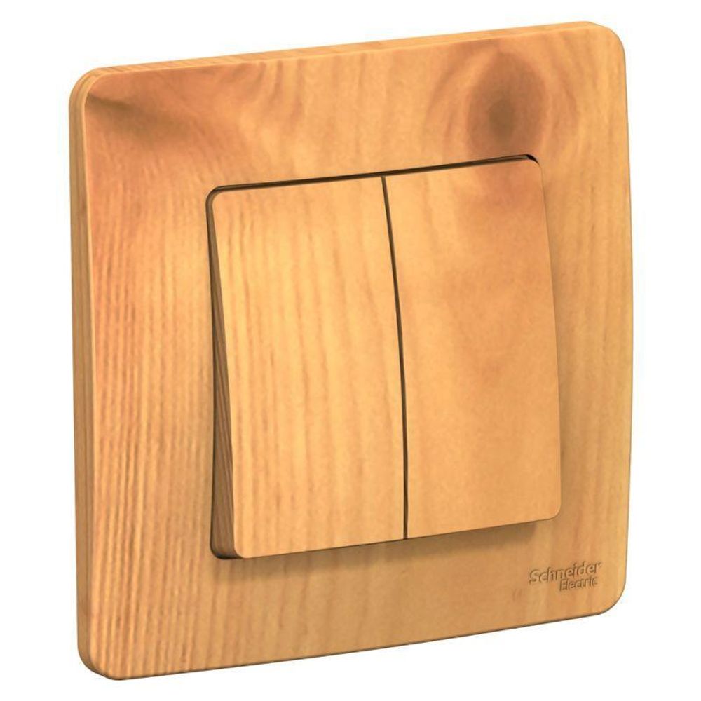 Выключатель 2-кл. СП Blanca 10А IP20 (сх. 5) 250В ясень SE BLNVS010505 Выключатель 2-кл. СП Blanca 10А IP20 (сх. 5) 250В ясень SE BLNVS010505