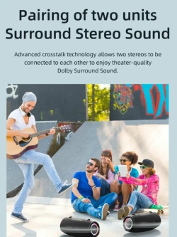 Портативная Bluetooth Колонка S87 80W black