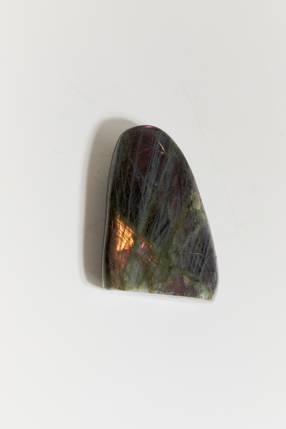 Срез Лабрадора S