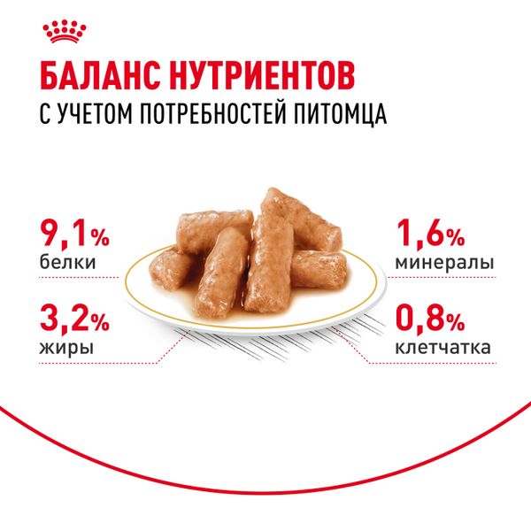 Пауч Royal Canin British Shorthair Adult для взрослых британских короткошерстных кошек, мелкие кусочки в соусе