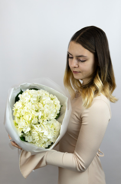 Букет из 3х белых гортензий.(#430)