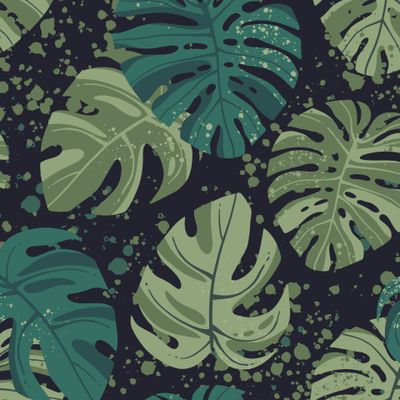 Тропики, монстера на темном фоне