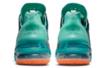 Кроссовки Nike Lebron 18 "We Are Family"