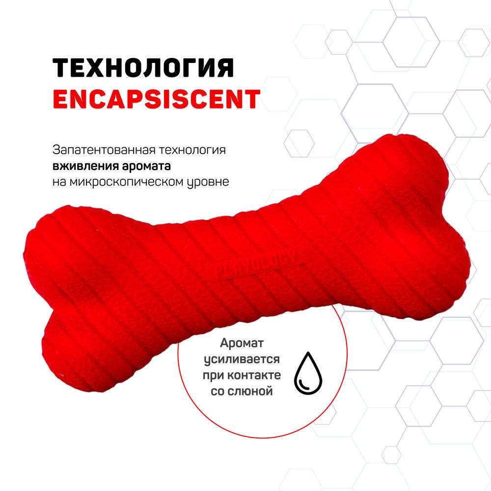 Двухслойная жевательная косточка Playology DUAL LAYER BONE для собак мелких пород с ароматом говядины, маленькая, цвет красный