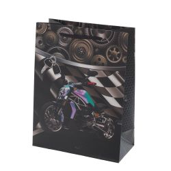 GAEM Пакет подарочный S (бумага 210г/м2, блок микс 12шт), L18 W8,5 H24 см, 4в.