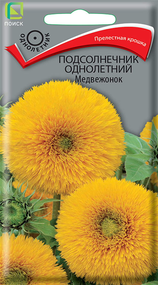 Подсолнечник однолетний Медвежонок