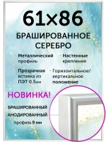 Металлическая фоторамка 61х86 см