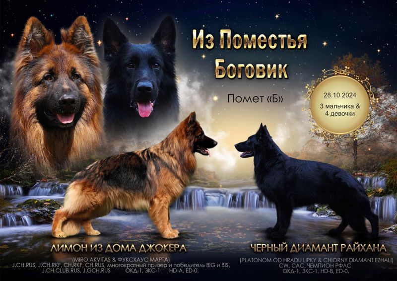 Помет "Б"