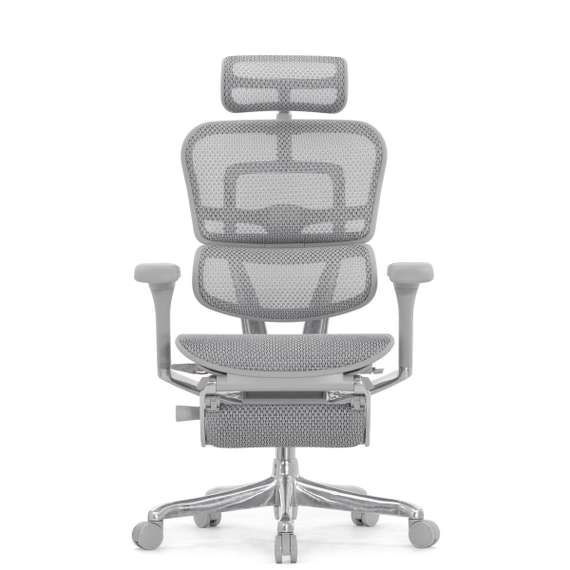 Кресло FALTO Ergohuman Elite 2 ( серый каркас /сетка светлаяT-168-B2 Natural)