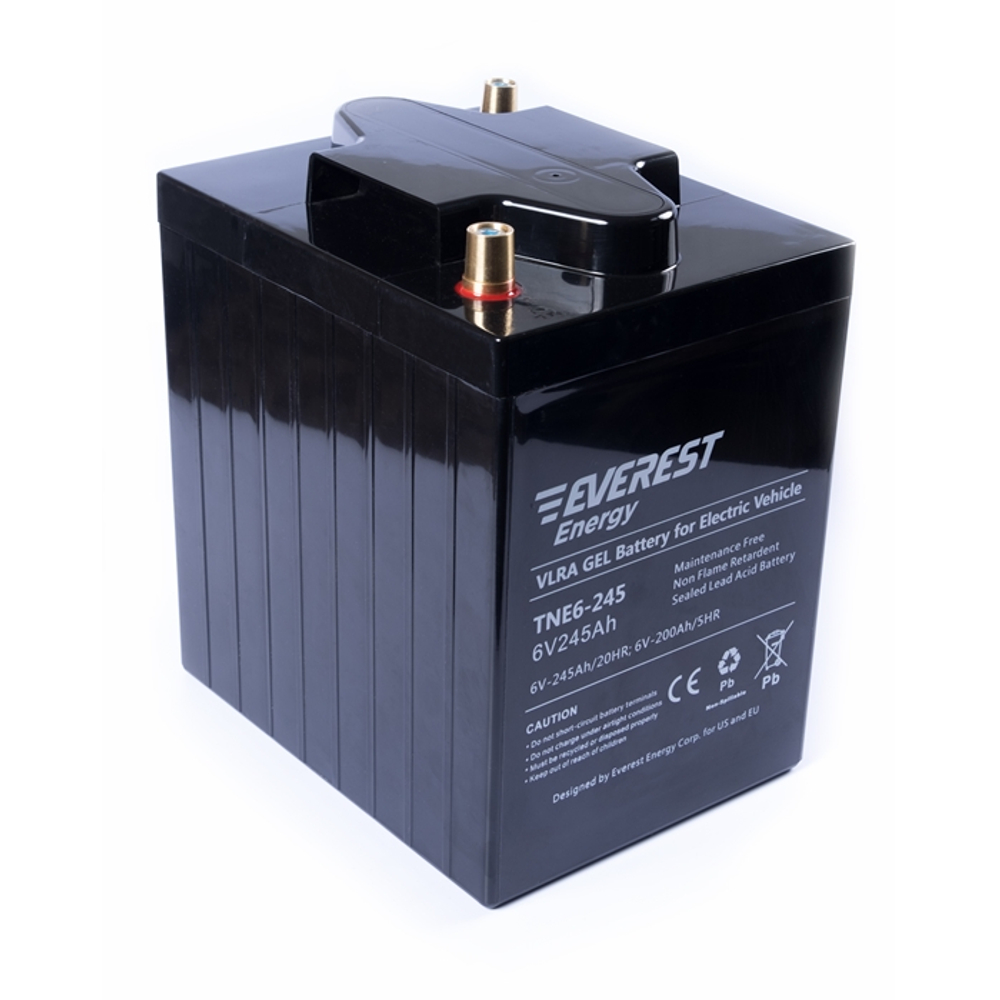 Тяговая аккумуляторная батарея EVEREST TNE 6-245