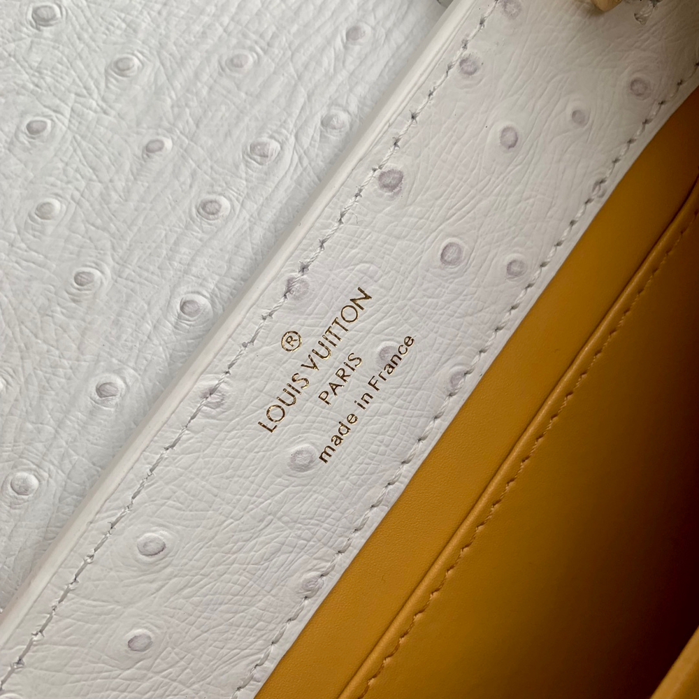 Louis Vuitton Capucines Mini