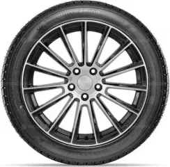 Doublestar DW02 265/70 R16 112S