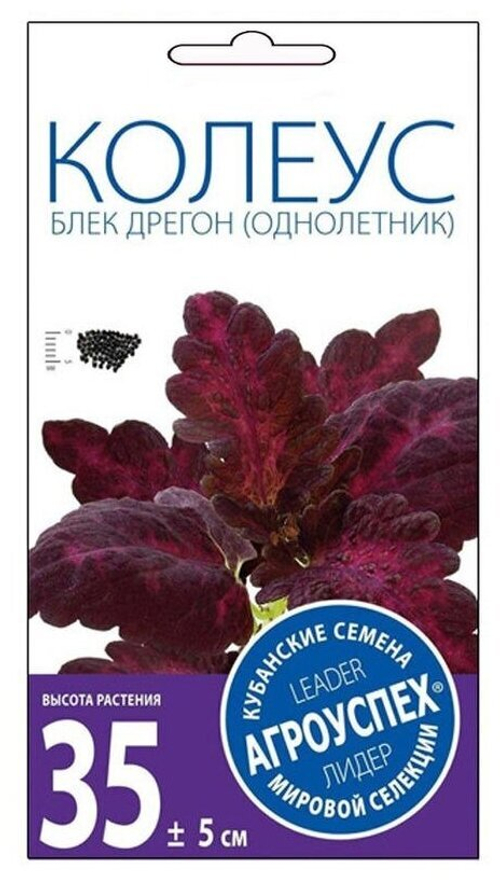 СЕМЕНА КОЛЕУС БЛЕК ДРЕГОН АГРОУСПЕХ
