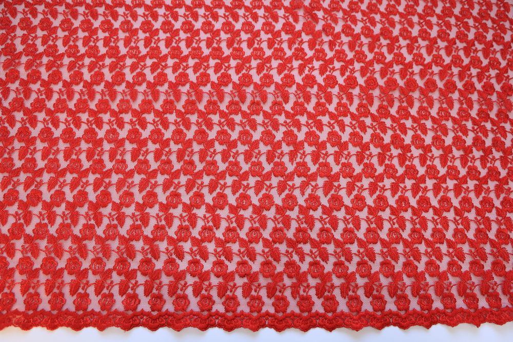 Вышивка на сетке красная