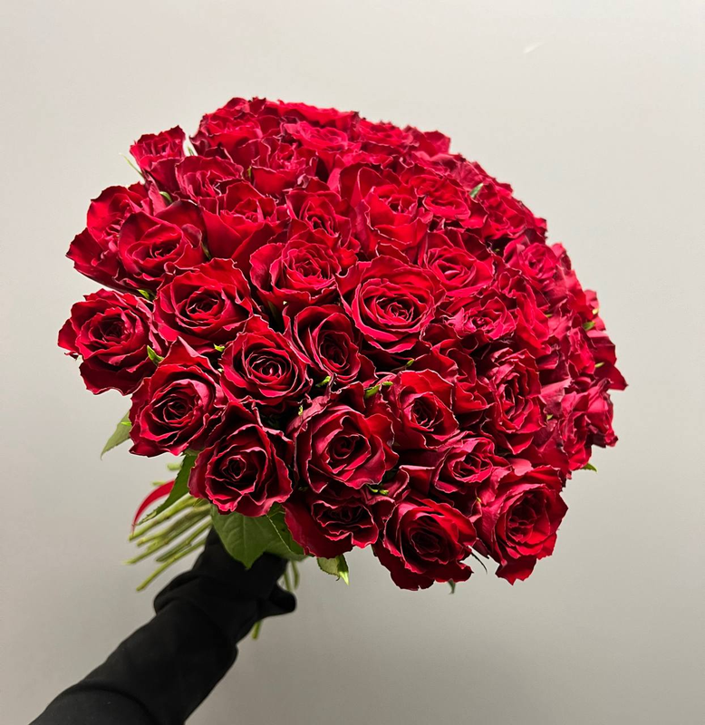 Букет из 51 розы Мадам Рэд (40см)