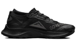 Кроссовки Nike Pegasus Trail 3 Gtx (Женская размерная сетка)