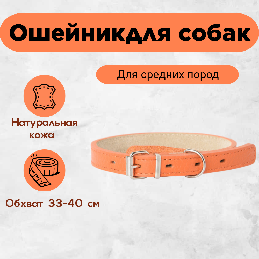Ошейник Mr.Kranch для собак из натуральной кожи прямой, 33-40 см оранжевый
