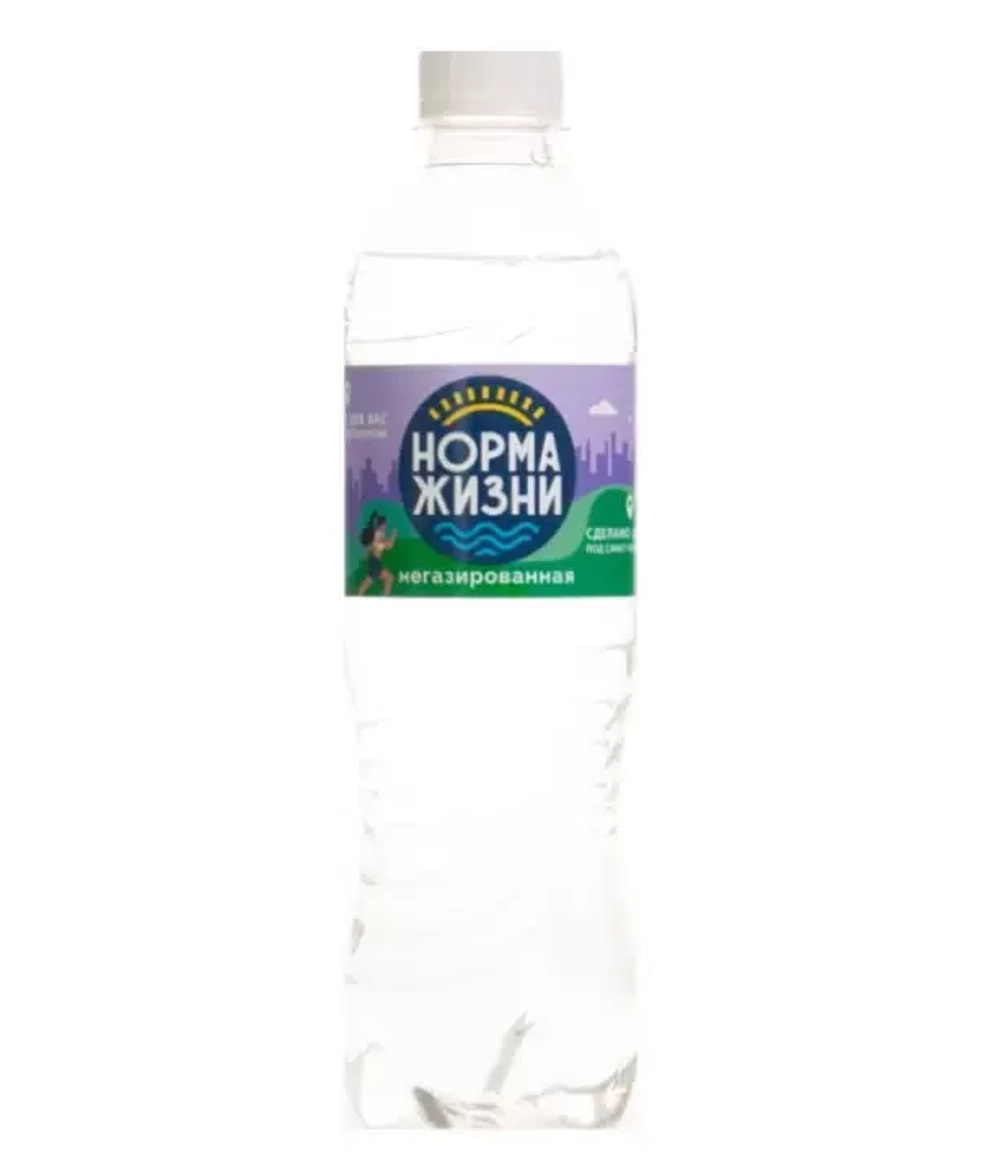 Вода питьевая Норма Жизни негазированная, 0,5 л х 12 шт