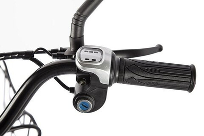 Велогибрид GREEN CITY e-ALFA new