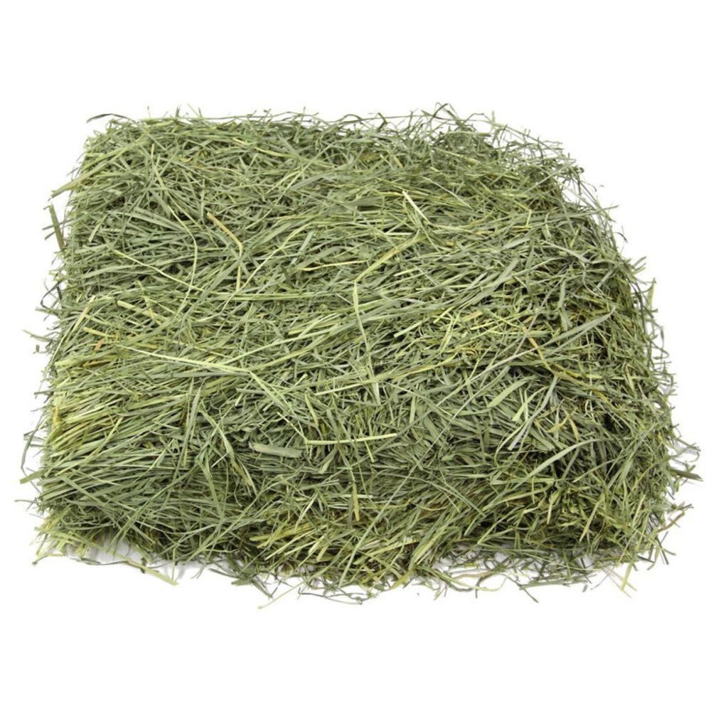 Timothy-grass-hay.jpg