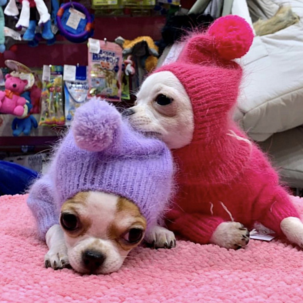 1924 DB Шапка "Гномик"