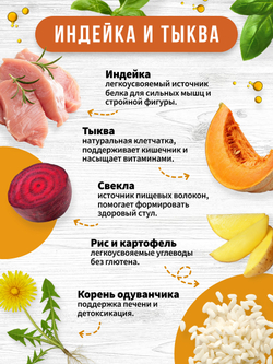 Airi turkey and pumpkin. Мясо индейки и тыква
