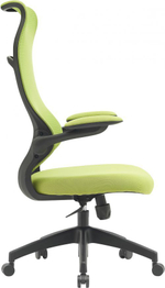 Кресло  Cactus CS-MC505-GN