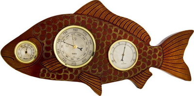 Метеостанция РЫБА