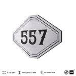 Номерок на дверь квартиры 557, для кабинета, офиса, шильдик 9 х 7 см, серебристый, Айдентика Технолоджи